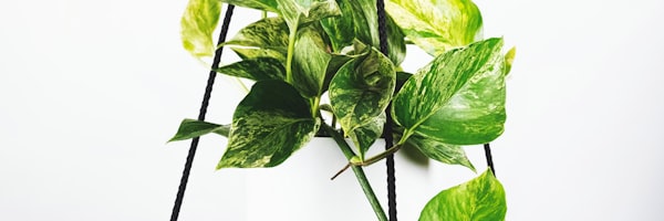 德布劳内曼城训练 - 准备传球